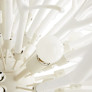IQ4511 ARTERIORS FINCH 8 LIGHT CHANDELIER