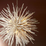 IQ4511 ARTERIORS FINCH 8 LIGHT CHANDELIER
