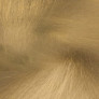 MS2067 RAQAM M7