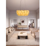MS2074 ROYALE S24