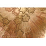 WM2145 Tronchi Taupe