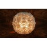 PS1240 CAPIZ SHELL LAMP