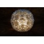 PS1240 CAPIZ SHELL LAMP