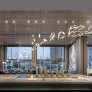 QZ9745 LARGE SEAGULL CHANDELIER