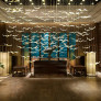 QZ9745 LARGE SEAGULL CHANDELIER