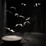 QZ9745 LARGE SEAGULL CHANDELIER