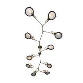 RJ2007 Brachiated Lens Chandelier