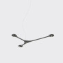 IQ8219 SUSPENSION PENDANT CARBON LIGHT