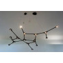 IQ8219 SUSPENSION PENDANT CARBON LIGHT