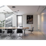 IQ8219 SUSPENSION PENDANT CARBON LIGHT