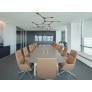 IQ8219 SUSPENSION PENDANT CARBON LIGHT