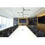 IQ8219 SUSPENSION PENDANT CARBON LIGHT