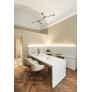IQ8219 SUSPENSION PENDANT CARBON LIGHT