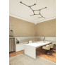 IQ8219 SUSPENSION PENDANT CARBON LIGHT