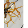 KA1900 LUCITE ANTLERS