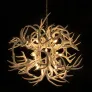 KA1900 LUCITE ANTLERS
