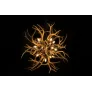 KA1900 LUCITE ANTLERS