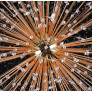 PS1270 DANDELION ROUND