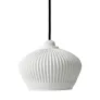 PS1302 PENDANT LAMP