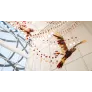 PS1599 FALCONS FLIGHT