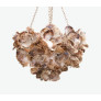 PS1717 FLORET OYSTER SHELL CHANDELIER