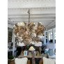 PS1717 FLORET OYSTER SHELL CHANDELIER