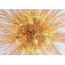 PS2438 STELLA SOLARE