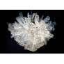 PS2456 CARRUBA