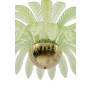 PS2468 PALM LEAVES BIG CHANDELIER
