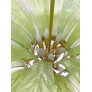 PS2468 PALM LEAVES BIG CHANDELIER