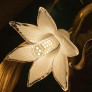 PS2490 COLORED GLAZE FLOWER CRYSTAL CHANDELIER