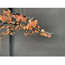 PS2491 SCULPTURE CHANDELIER