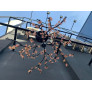 PS2491 SCULPTURE CHANDELIER
