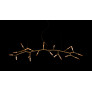 PS2779 TWIG