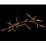 PS2779 TWIG