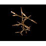 PS2779 TWIG