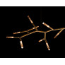 PS2779 TWIG