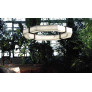 PS2931 ALABASTER OCTAGON CHANDELIER