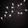 PS2978 Tulip Suspension