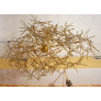 PS2999 CUSTOM ANGULAR-MOMENTUM SCULPTURE CHANDELIER