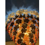 PS3094 Black and Orange Flower Stunning Murano Glass Chandelier