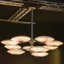 PS6005 SUNSA 21
