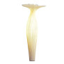 PS6078 MORNING GLORY LAMP