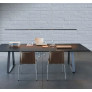 PS6083 PROLONG PENDANT