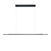 PS6083 PROLONG PENDANT