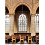 PS6087 NIGHTWATCH CHANDELIER