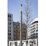 PS6106 Contemporary Light Column LIF