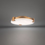 PS9065 CATALONIA CEILING LIGHT
