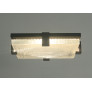 PS9074 TERRA 4 LIGHT CEILING LIGHT
