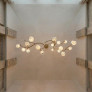 PS9116 DUAL LUCIA CHANDELIER